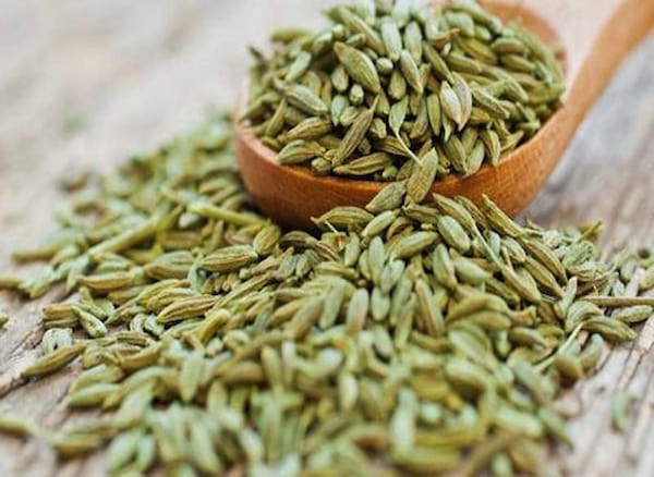 تصویر 4 از قیمت خرید زیره سبز اعلا + فروش ویژه